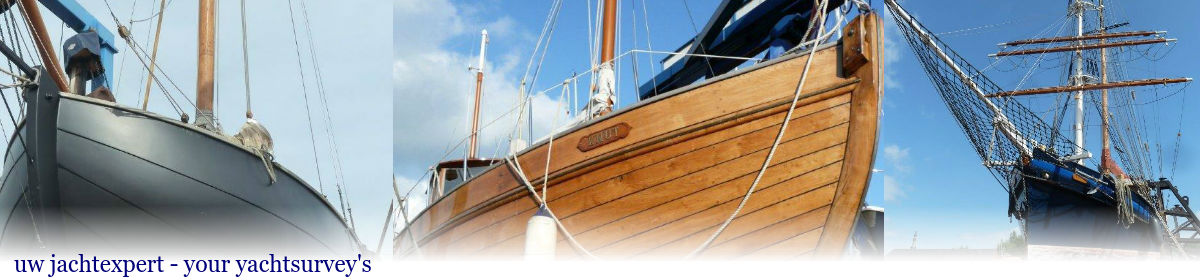 BLM yacht surveys