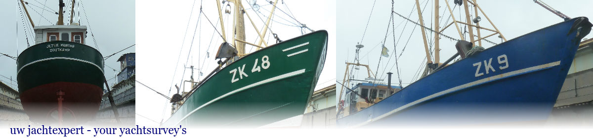 BLM yacht surveys